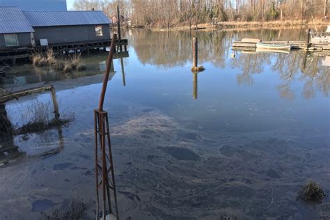 Crews respond to fuel spill in the Delta